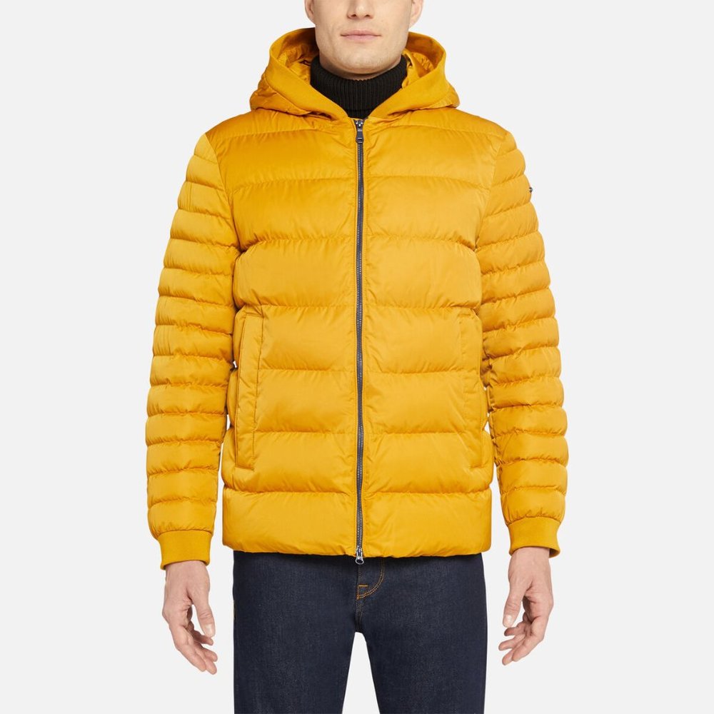 GEOX: Colbyn Hood Jacket - Chai Tea - Picture 2 of 14